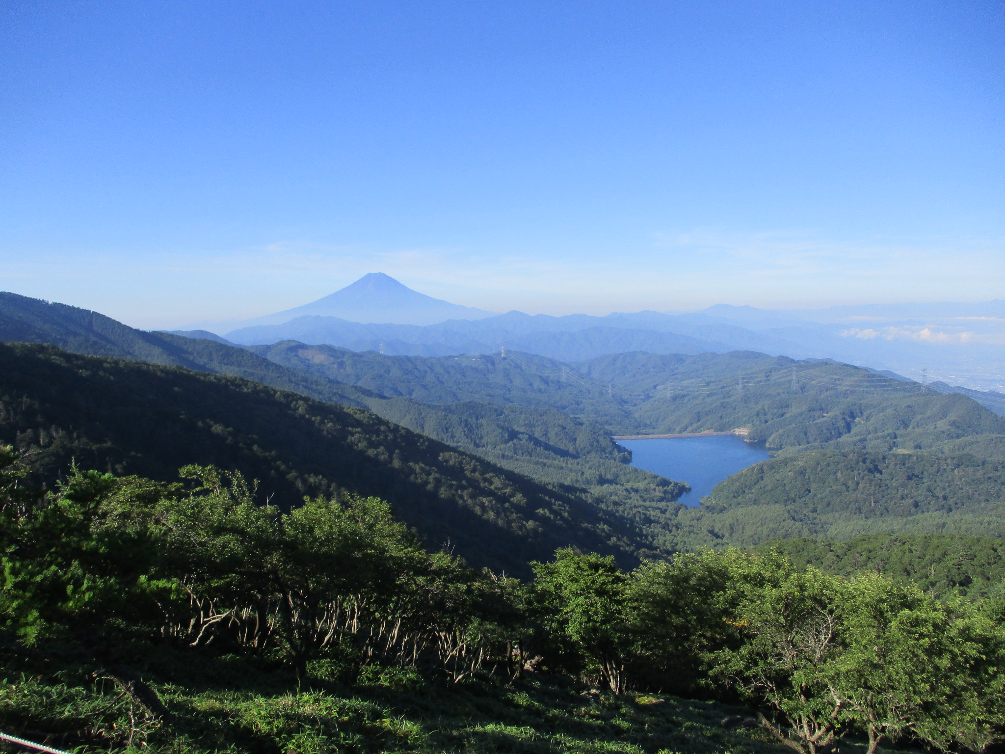 �A���o���i�ʑ��j