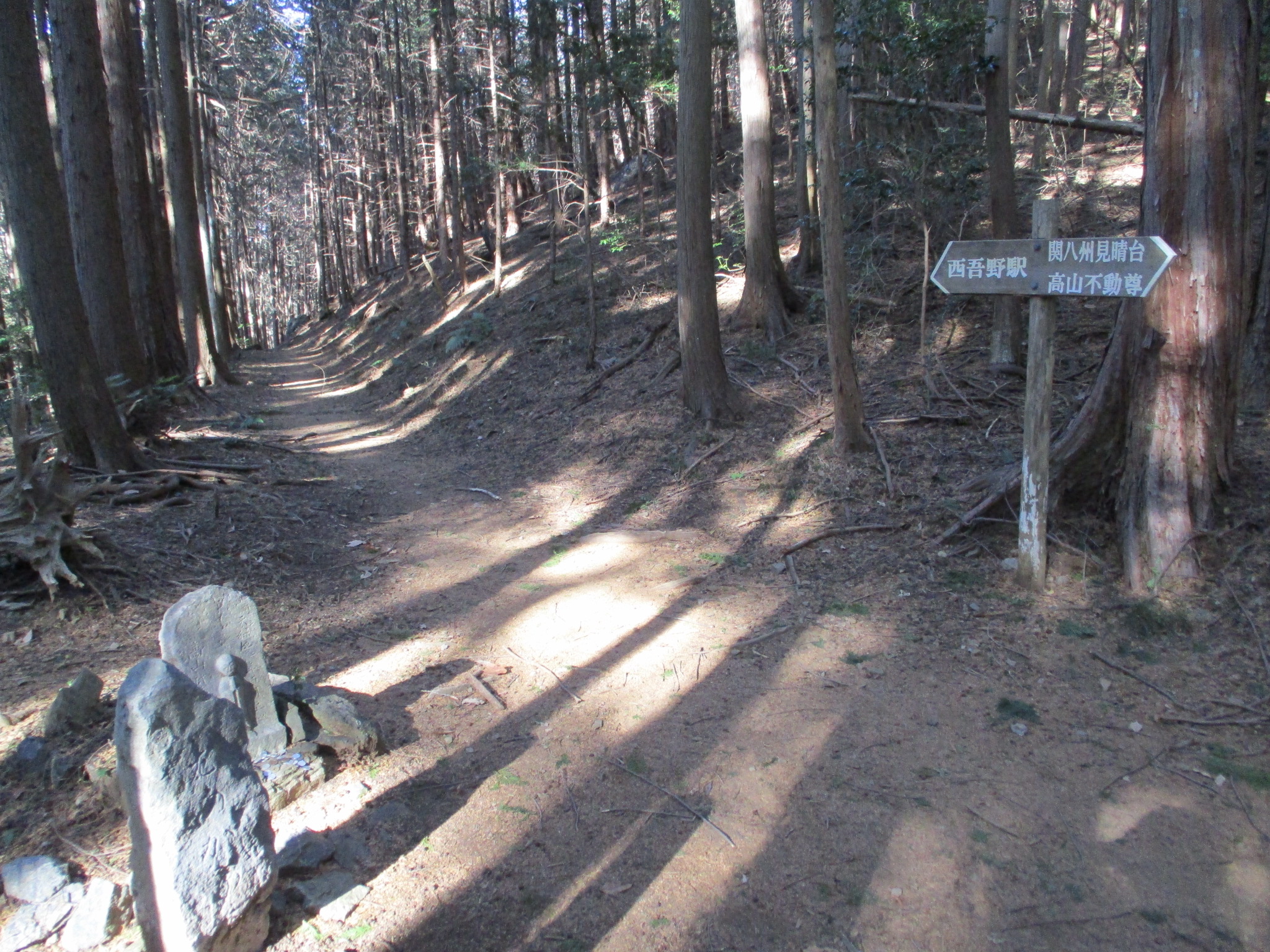 �A���o���i�ʑ��j