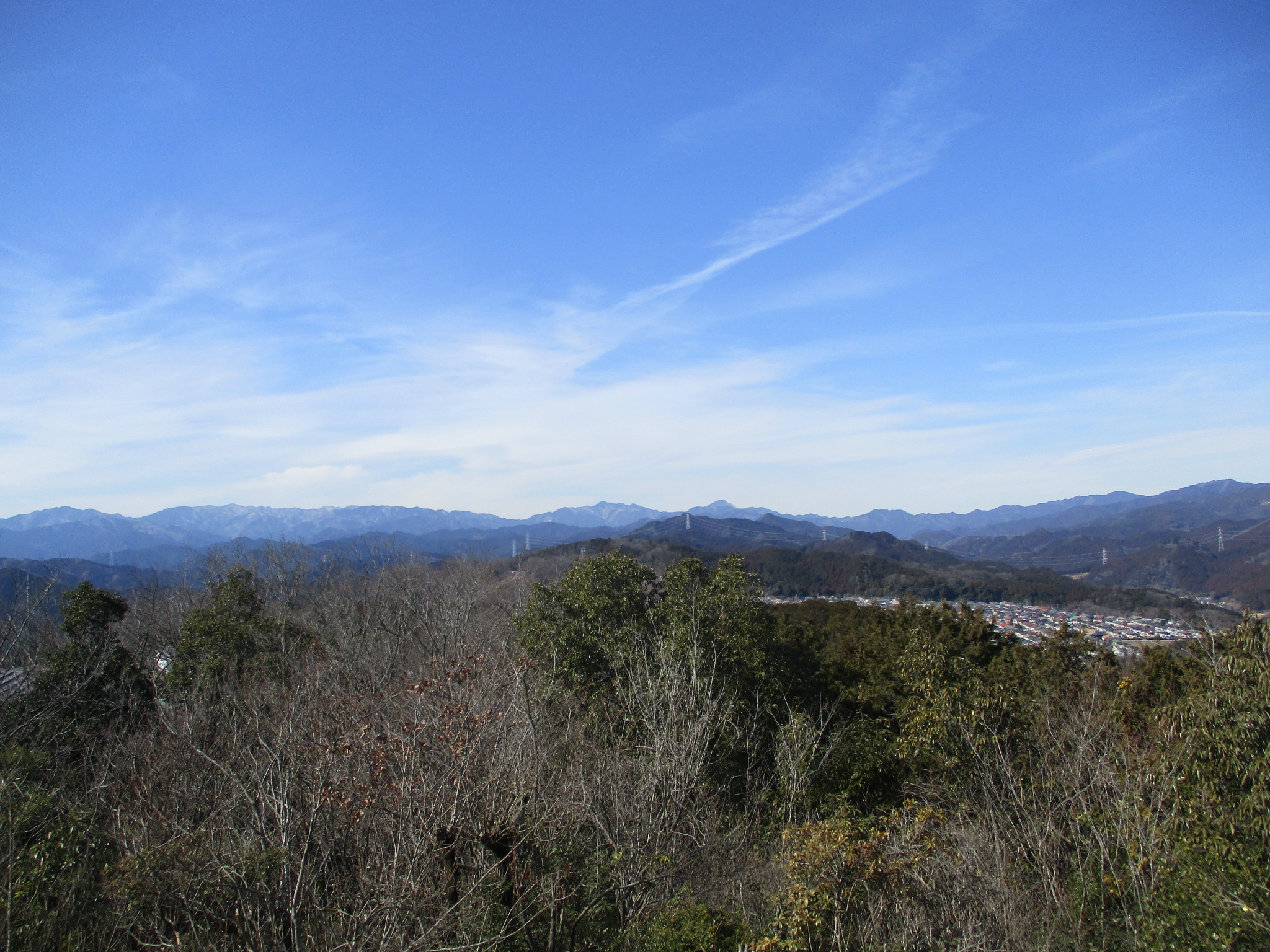 �A���o���i�ʑ��j